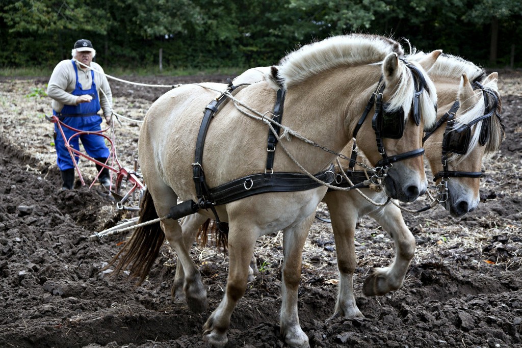 Słowo na niedzielę, o pracy i szczęściu