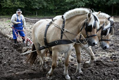 Słowo na niedzielę, o pracy i szczęściu