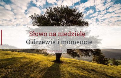 Słowo na niedzielę, o drzewie i momencie