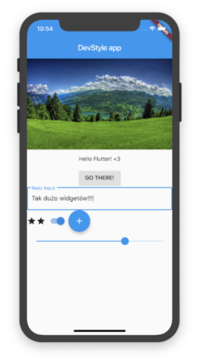 Flutter app example with many widgets
