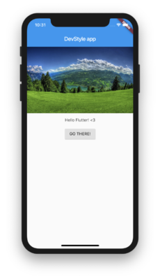 A flutter app example with a column